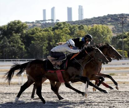 Jinetes entrenando en el Hipódromo de la Zarzuela y las cuatro torres al fondo.