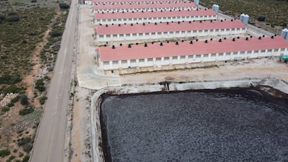 Vista aérea de la macrogranja y la balsa de purines de Cardenete (Cuenca), imagen cedida