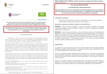La moción presentada por Vox (izquierda) y de la enmienda del PP (derecha), con el título que perdura señalado.