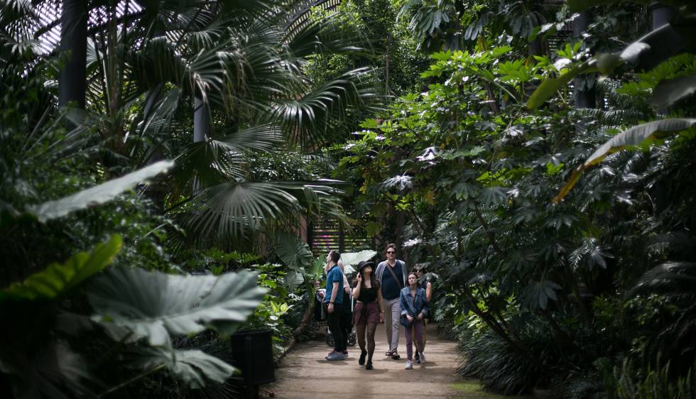 Barcelona ultima la reforma de la Ciutadella y anuncia un nuevo acceso al parque atravesando el Zoo por la calle Wellington 