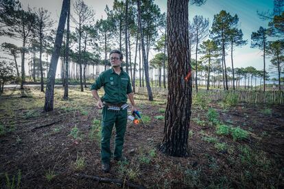 Fabrice Carré, guarda forestal de las Landas, marca el tronco de un pino para controlar la regeneración del bosque. 