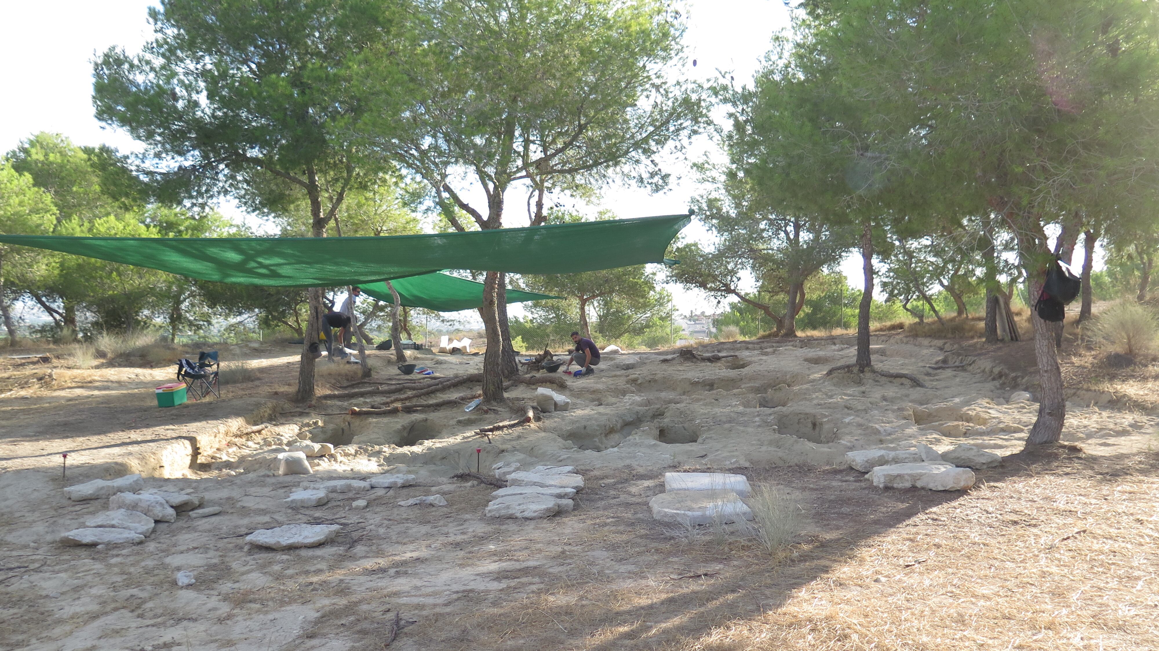 Yacimiento del Cabezo del Molino (Rojales, Alicante).