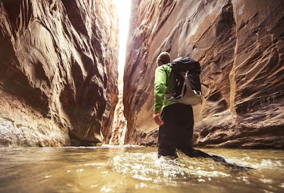 En The Narrows las paredes del cañón, pulidas como mármoles, se estrechan en deliciosa claustrofobia. Se encuentra en el parque nacional de Zion (Utah).