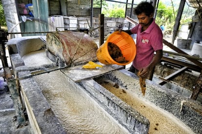 En 1997 nació Maximus Ltd., una empresa que contaba con siete trabajadores y una pequeña fábrica en Kegalle (Sri Lanka). Su idea, revolucionaria: utilizar los excrementos de los paquidermos, que originan una cantidad significativa de fibras intactas cuando defecan, para producir papel higiénico. ¿Cómo? Este estiércol es una materia prima perfecta para la producción de celulosa. En este enclave, uno de los operarios de la fábrica, después del secado al sol y su ebullición para matar todas las bacterias, mezcla las boñigas con papel reciclado hasta obtener la pasta.