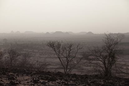 Llanura en proceso de desertificación cerca de Yayá (Níger).