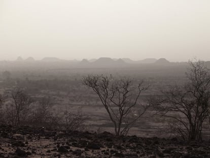 Llanura en proceso de desertificación cerca de Yayá (Níger).