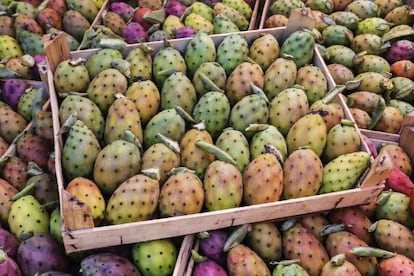 Higos chumbos en un puesto del mercado palermitano.