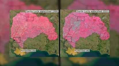 Mapas satelitales que identifican el uso de suelo así como el acceso o la ausencia de agua potable urbana en la cuenca del Río Santa Lucía, en Uruguay.