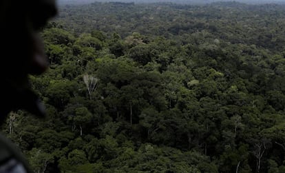 Un policía observa la selva amazónica en una operación en el estado de Para en noviembre.