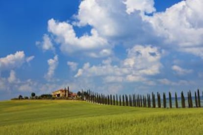 Uno de los paisajes que rodean la localidad toscana de San Quirico d'Orcia, declarados patrimonio mundial de la Unesco.