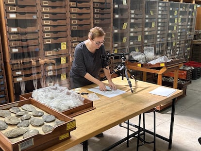 Andrea Serodio, investigadora de la Universidade de Vigo, clasifica bifaces en Melka Kunture.