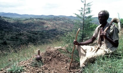 Un campesino, en una zona reforestada por el PNUD en 1982.