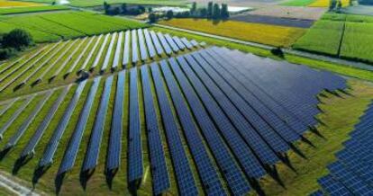 Paneles solares en una planta fotovoltaica.