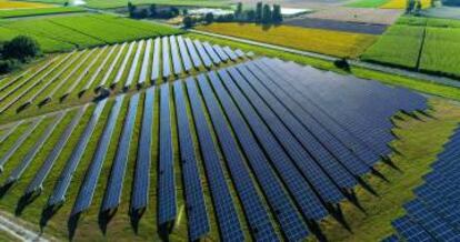 Paneles solares en una planta fotovoltaica.