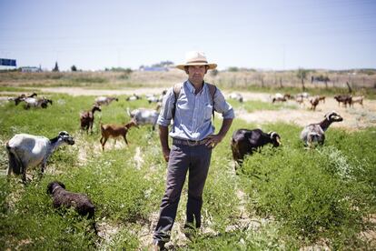 Manuel Sibianes, 41 años. Trabaja con ganado desde pequeño, era una labor familiar. Saca a las cabras de 8 de la mañana a 13:30 y de 18:30 a 22:00. Al menos bebe 4 litros de agua durante el día. Está acostumbrado al calor, y soporta el frío del invierno.