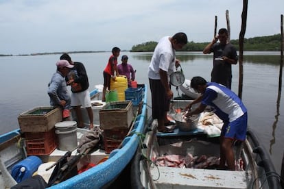 Pescadores de la cooperativa Isla Tasajera seleccionan sus capturas tras un d&iacute;a de faena en el Bajo Lempa (El Salvador).