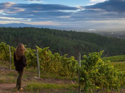 Las ventas de Rías Baixas aumentan el 8% este año