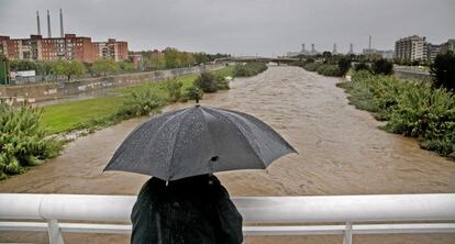 Vista del río Besòs a su paso por Santa Coloma de Gramanet.
