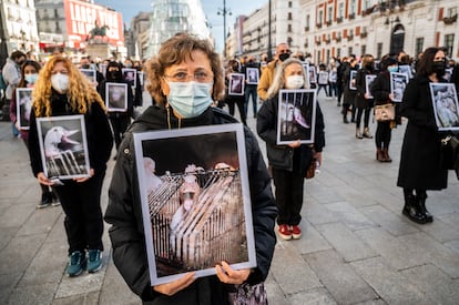 Activistas de Igualdad Animal denuncian en la Puerta del Sol de Madrid el maltrato de los animales en las granjas.