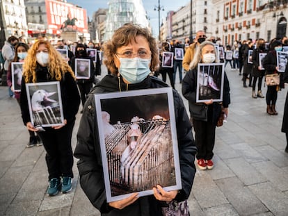 Activistas de Igualdad Animal denuncian en la Puerta del Sol de Madrid el maltrato de los animales en las granjas.