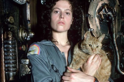 Uno de los gatos más famosos del cine: Jones, de 'Alien' (Ridley Scott, 1979). Curiosamente, el alienígena atacaba a los humanos, pero no al felino.