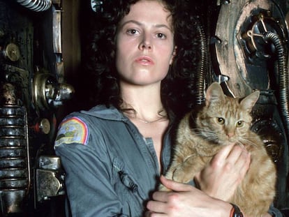 Um dos gatos mais famosos do cinema: Jones, de 'Alien' (Ridley Scott, 1979). Curiosamente, o alienígena atacava os humanos, mas não o felino.