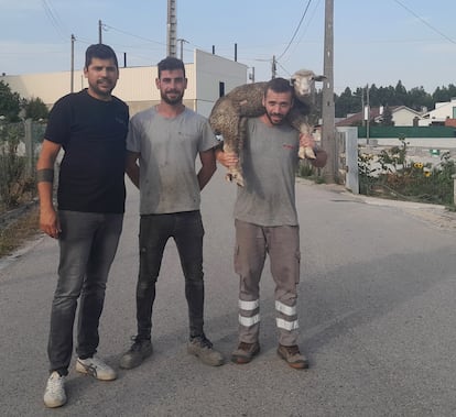 Diogo Coelho, João Paulo Ruivo y Diogo Viana, de izquierda a derecha, en la aldea de Boa Vista, dos días después del incendio que les obligó a rescatar a personas y animales.