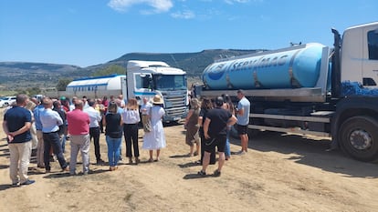 Sacrificio de vacas por la sequía en Castellón