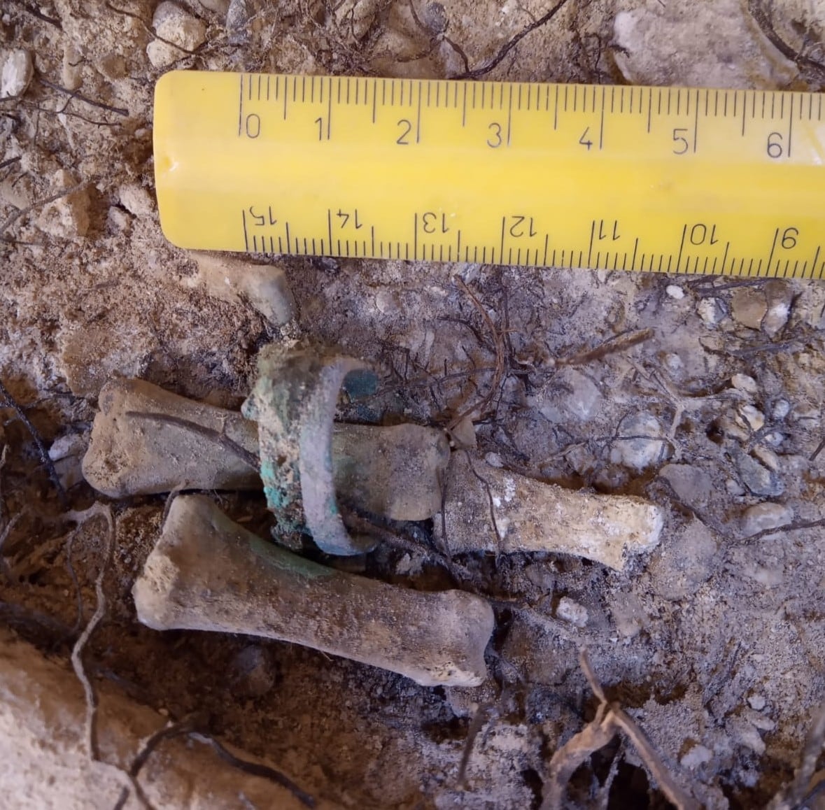 Un doble anillo encontrado en la mano de uno de los enterrados en la maqbara de Tudela, en Navarra.