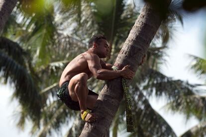 Un hombre compite en el primer campeonato del mundo de escalada de palmeras en Papeete (Polinesia Francesa).