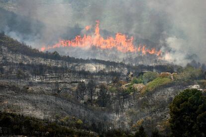 “El incendio se desbordó por la noche, es muy virulento", afirma el consejero de Interior, Felip Puig.
