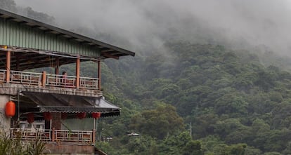 Mirador en el Maokong, donde la selva se mezcla con las plantaciones de té.