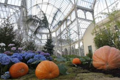 Instalación artística con flores y plantas de Pierre Huyghe, en el Palacio de Cristal del Retiro.