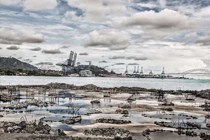 Cimentación del Muelle.