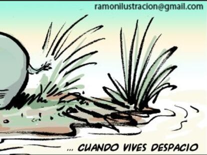 Ramón