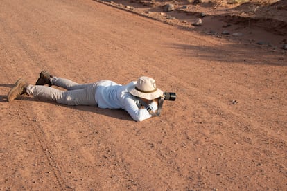 Un investigador fotografía a una culebra.