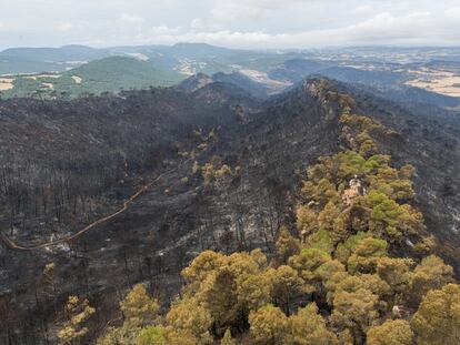 Estado de las inmediaciones de Santa Coloma de Queralt tras el último incendio.