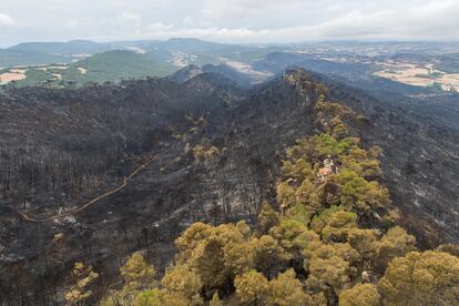 Estado de las inmediaciones de Santa Coloma de Queralt tras el último incendio.