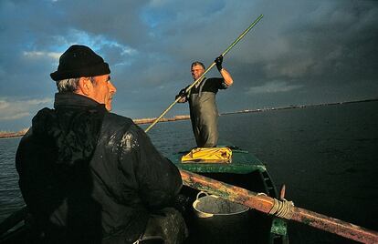 Dos pescadores faenan en la captura de anguila y cangrejo en la laguna Tancada, en el delta del Ebro (Tarragona).