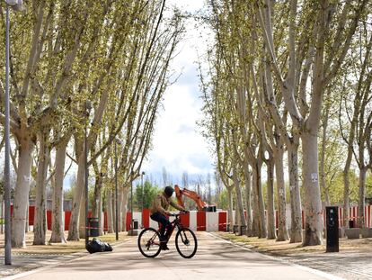 Obras de la estación Madrid Río en el distrito de Arganzuela, por la ampliación de la línea 11 de metro. Detrás de la valla, quedó uno de los árboles adoptados en el programa del Ayuntamiento.