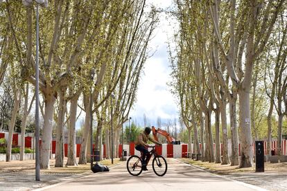 Obras de la estación Madrid Río en el distrito de Arganzuela, por la ampliación de la línea 11 de metro. Detrás de la valla, quedó uno de los árboles adoptados en el programa del Ayuntamiento.