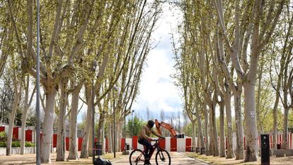 Obras de la estación Madrid Río en el distrito de Arganzuela, por la ampliación de la línea 11 de metro. Detrás de la valla, quedó uno de los árboles adoptados en el programa del Ayuntamiento.