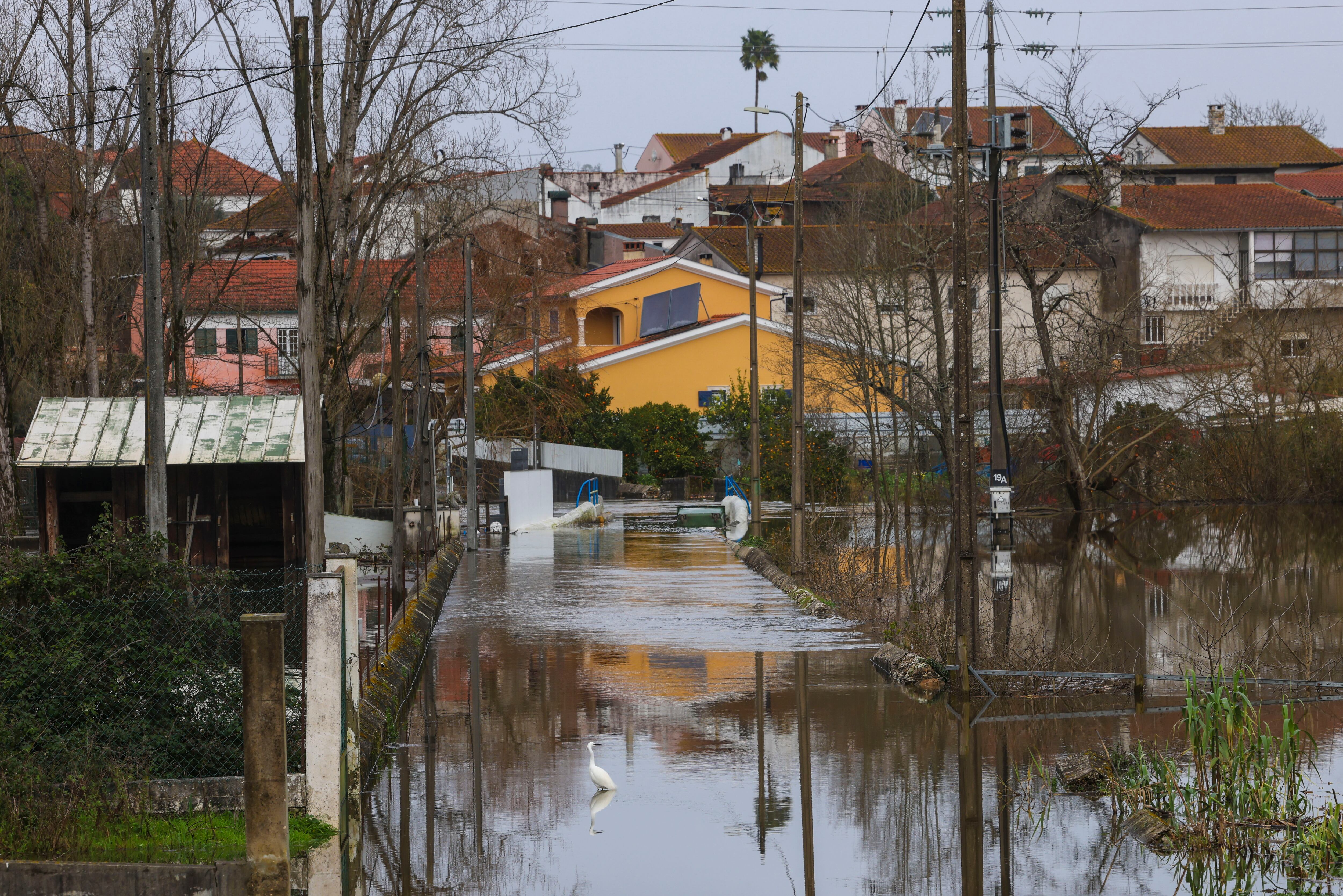Portugal inicia la evacuación de 9.000 personas en Coimbra por el riesgo de inundaciones