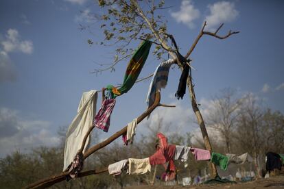 La ropa recién lavada permanece en un árbol para que pueda secarse al sol. El campo de refugiados de Impevi recibe cada día cerca de 2.000 refugiados.