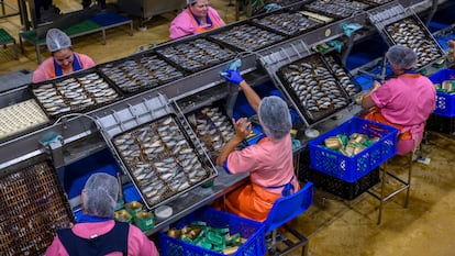 Fábrica de conservas de sardinas que utiliza el sistema tradicional de ahumado, que la EFSA considera seguro.