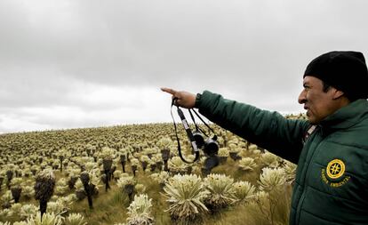 Carlos Mainagüez participa en un recorrido por el páramo.