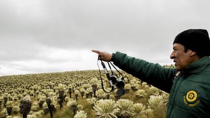 Carlos Mainagüez participa en un recorrido por el páramo.