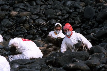 Recogida de chapapote en rocas de la costa de Camariñas ( A Coruña) .