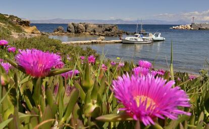 Una cala en la isla de Tabarca, frente a la costa de Alicante.