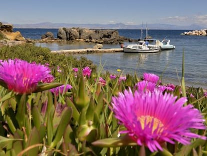 Una cala en la isla de Tabarca, frente a la costa de Alicante.